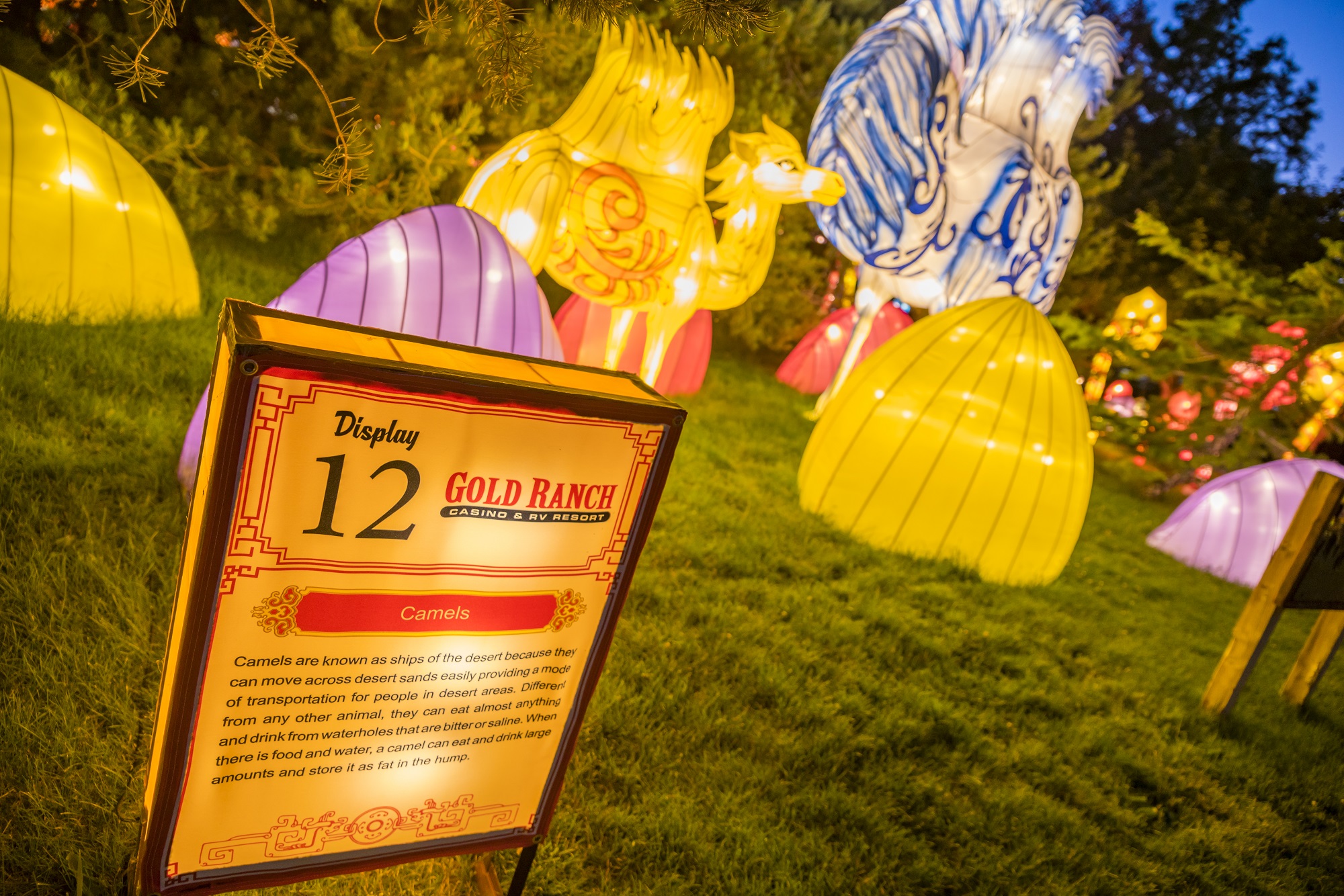 Dragon Lights 2018-2446.jpg Dragon Lights 2018-2446.jpg